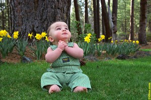 Lewis & The Five Ducklings